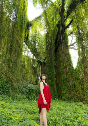 残酷青春-高清版视频全集